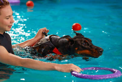 2025.01.21 Hydrotherapy for Pets