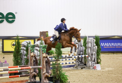 2025.5.20 Horses