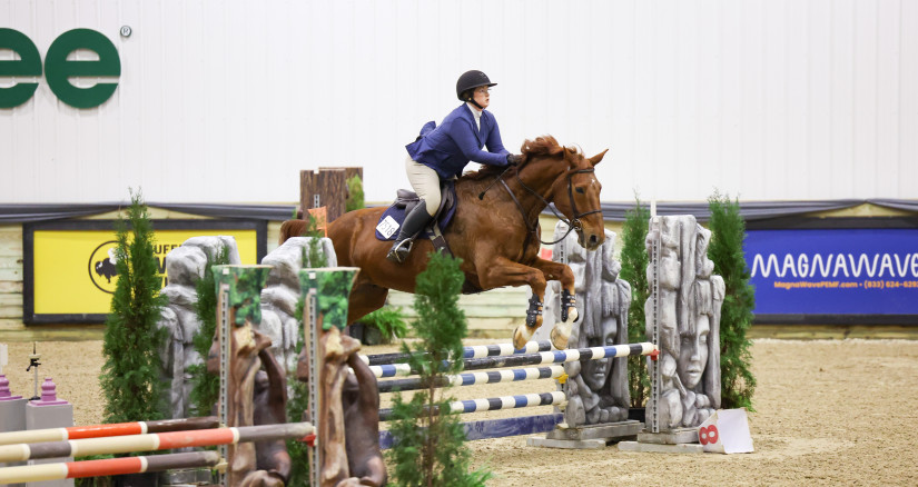 2025.5.20 Horses