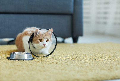 MAIN Source AnnaStills