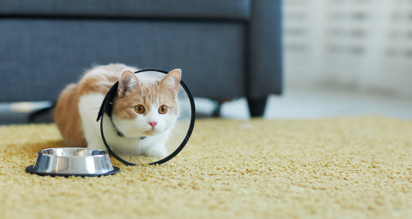 MAIN Source AnnaStills