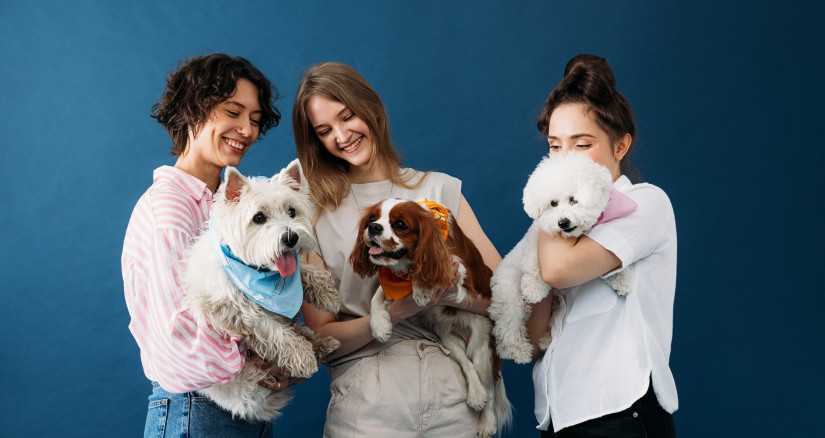 MAIN Source ArtemVarnitsin