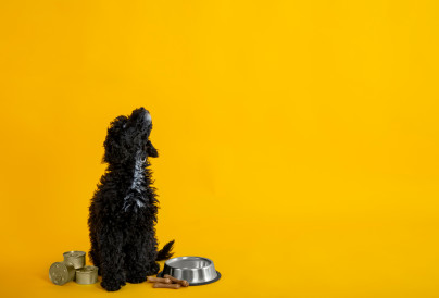 MAIN Source AtlasComposer