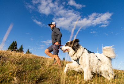 MAIN Source melis82 v2