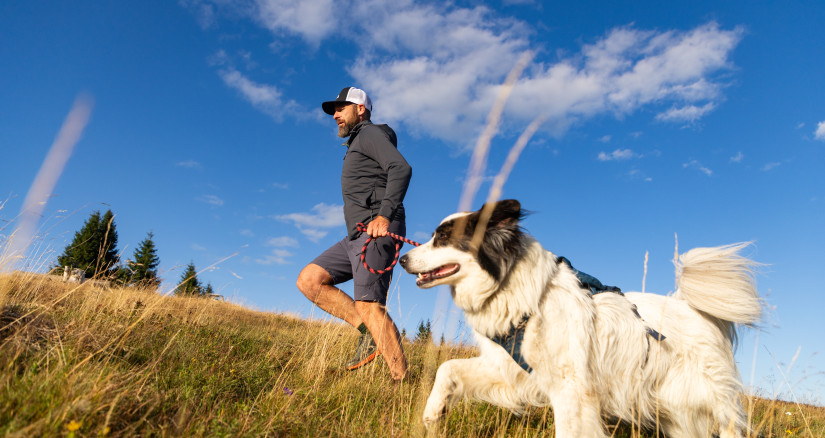 MAIN Source melis82 v2