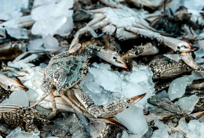 Main Source popovamarina