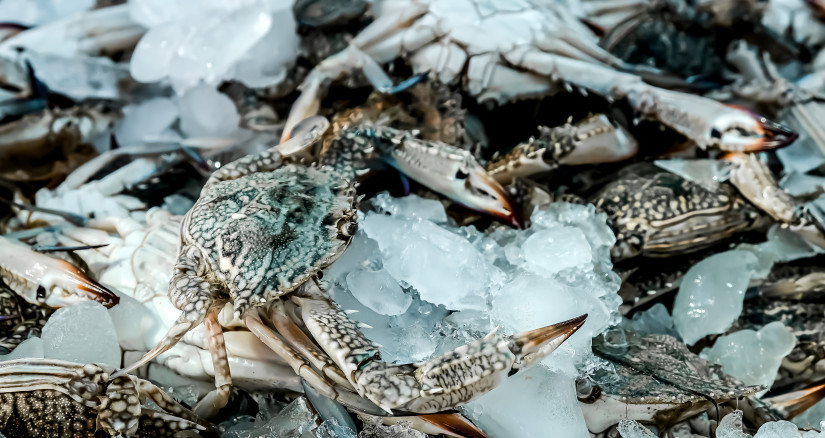 Main Source popovamarina