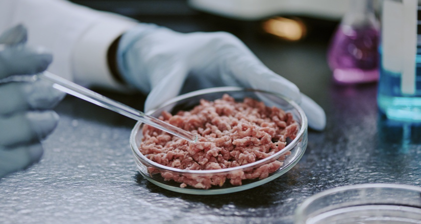 2024.11.8 Cultured Meat