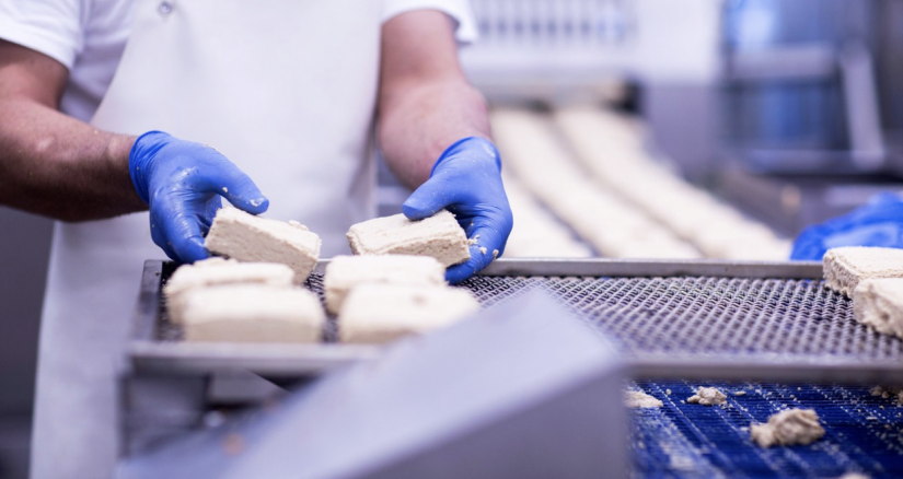 2024.11.13 Food Safety