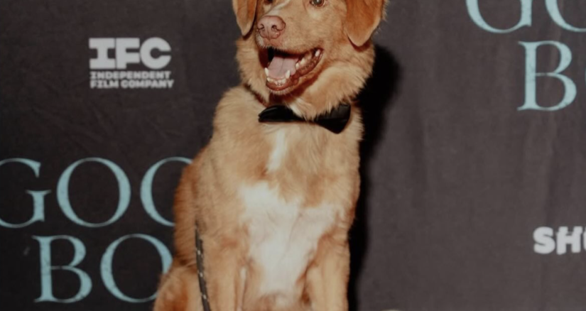 Screenshot 2026 02 02 at 2.36.52PM