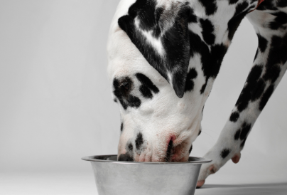 Source FSerega from Getty Images Pro