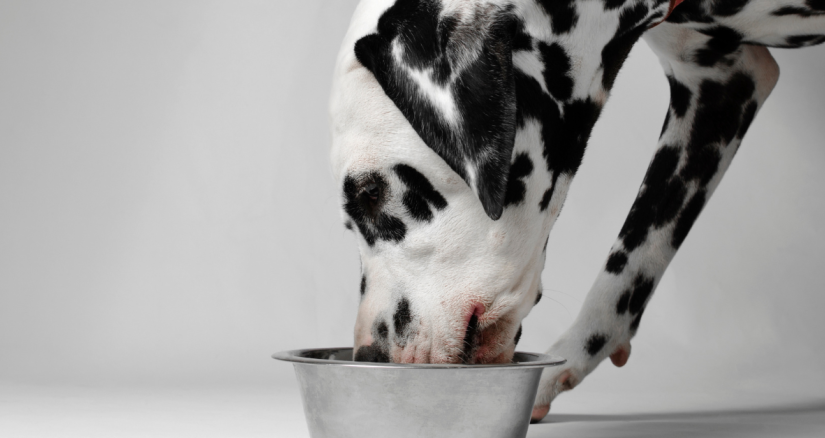 Source FSerega from Getty Images Pro