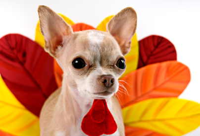 Source  maiteali Getty Images Signature