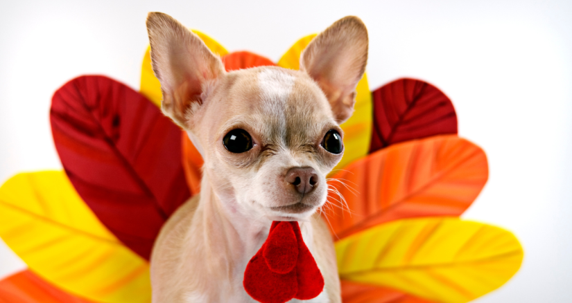 Source  maiteali Getty Images Signature