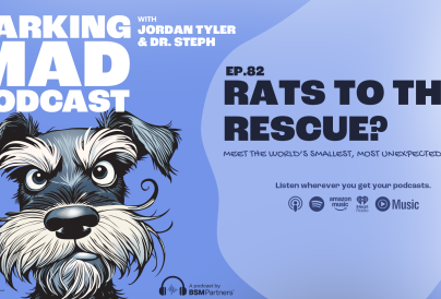 BM EP.82 HERO RATS NEW EPISODE