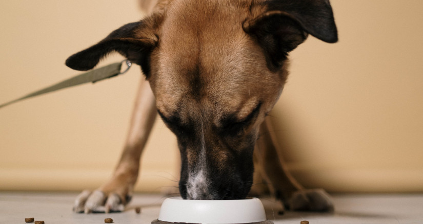 Digestibility