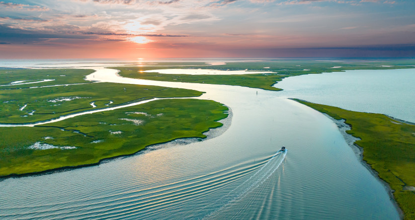 Image by VACHAMP1984 from Pixabay