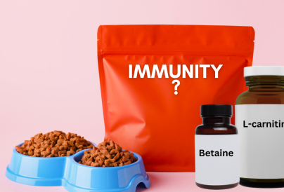 L carnitine betaine supplements
