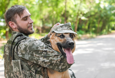 Photo by africaimages (Envato)