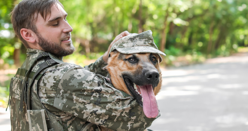 Photo by africaimages (Envato)