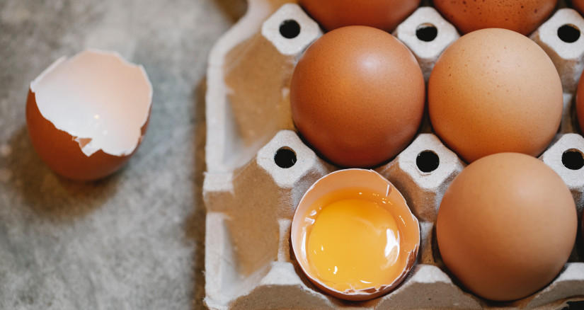 National Egg Day