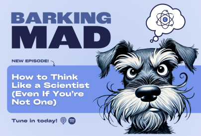 Podcast Articles Web Images FINAL 1