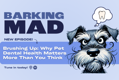 Podcast Articles Web Images FINAL 2 v2