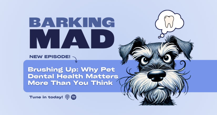 Podcast Articles Web Images FINAL 2 v2