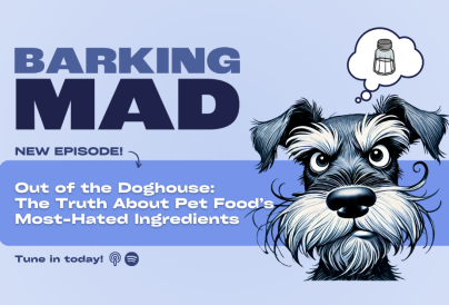 Podcast Articles Web Images FINAL 2