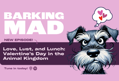 Podcast Articles Web Images FINAL 3 v2