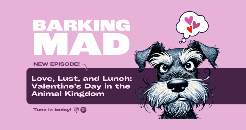 Podcast Articles Web Images FINAL 3 v2