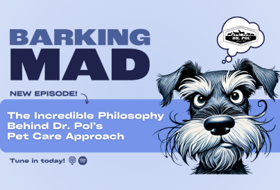 Podcast Articles Web Images FINAL 5