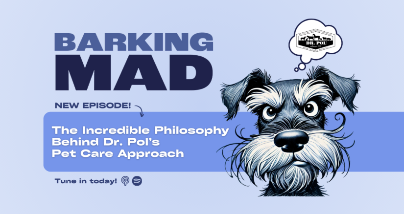 Podcast Articles Web Images FINAL 5