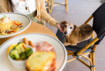 Photo by leungchopan