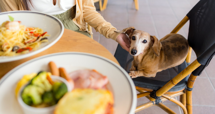 Photo by leungchopan