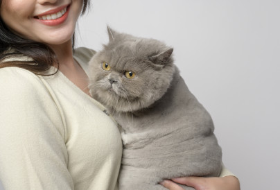 a young woman is holding lovely cat 2024 12 22 23 18 23 utc