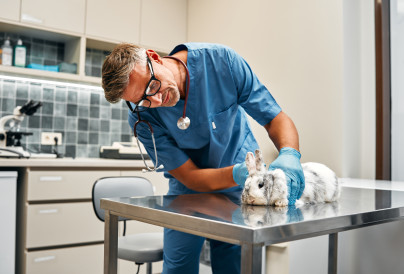 2025.05.28 Vet Pet Food 