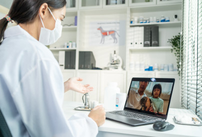 asian veterinarian girl talk to pet owner on onlin 2025 03 24 10 41 43 utc