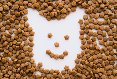 flat lay of dry pet food in shape of cartoon dog o 2024 11 10 02 55 41 utc