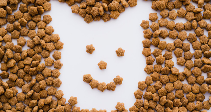 flat lay of dry pet food in shape of cartoon dog o 2024 11 10 02 55 41 utc