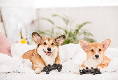 2025.5.19 Gamification