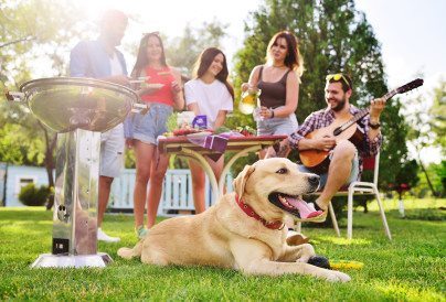 group of friends in the park at a picnic are barbe 2025 01 07 12 19 29 utc
