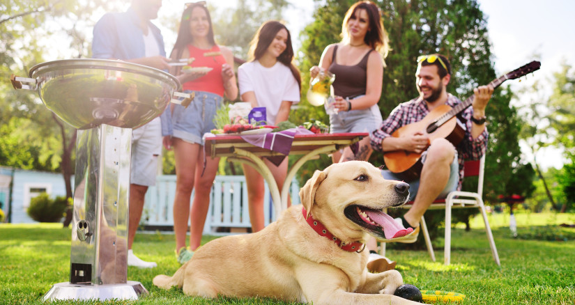 group of friends in the park at a picnic are barbe 2025 01 07 12 19 29 utc