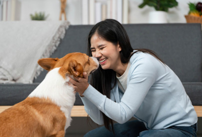 joyful interaction with dog a woman playfully eng 2025 06 25 00 39 54 utc