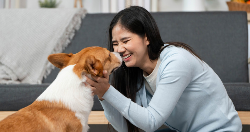 joyful interaction with dog a woman playfully eng 2025 06 25 00 39 54 utc