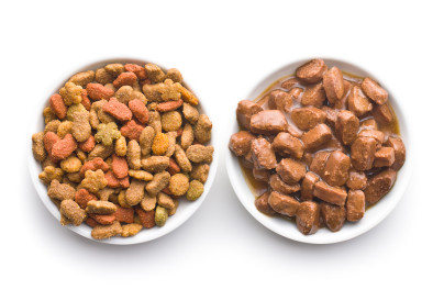 meal for dog or cat canned meat with sauce 2025 03 14 10 45 30 utc