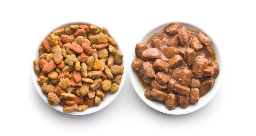 meal for dog or cat canned meat with sauce 2025 03 14 10 45 30 utc