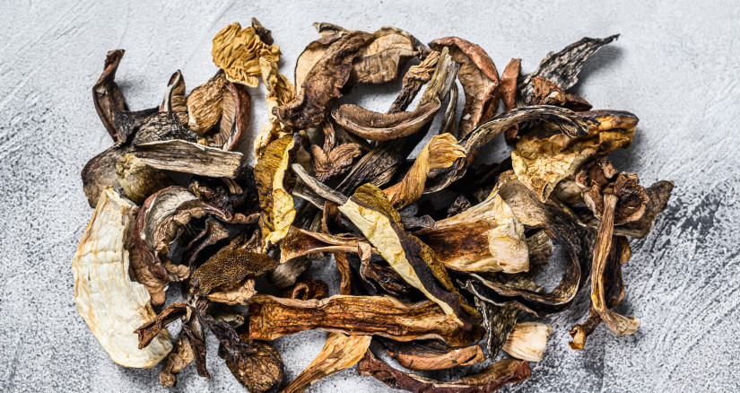 mixed wild dried mushrooms white background top 2024 12 09 02 29 58 utc