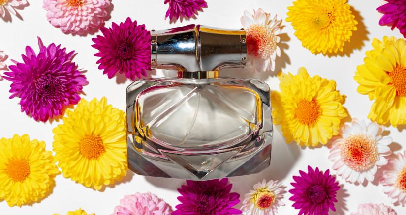 2025.05.27 Fragrance Dupes Main