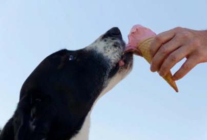 2025.4.29 Western Diet Ice Cream